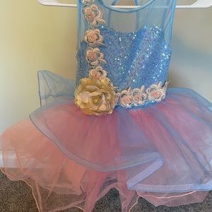 Girl’s Ballet Dance Halloween Costume Sz 10-12